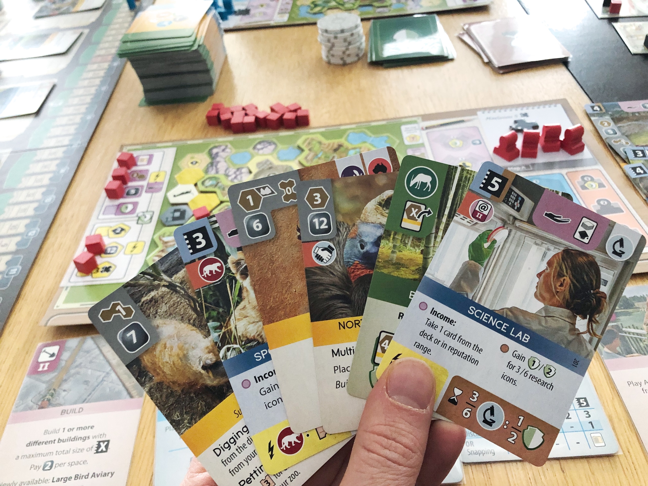 A hand of Ark Nova cards