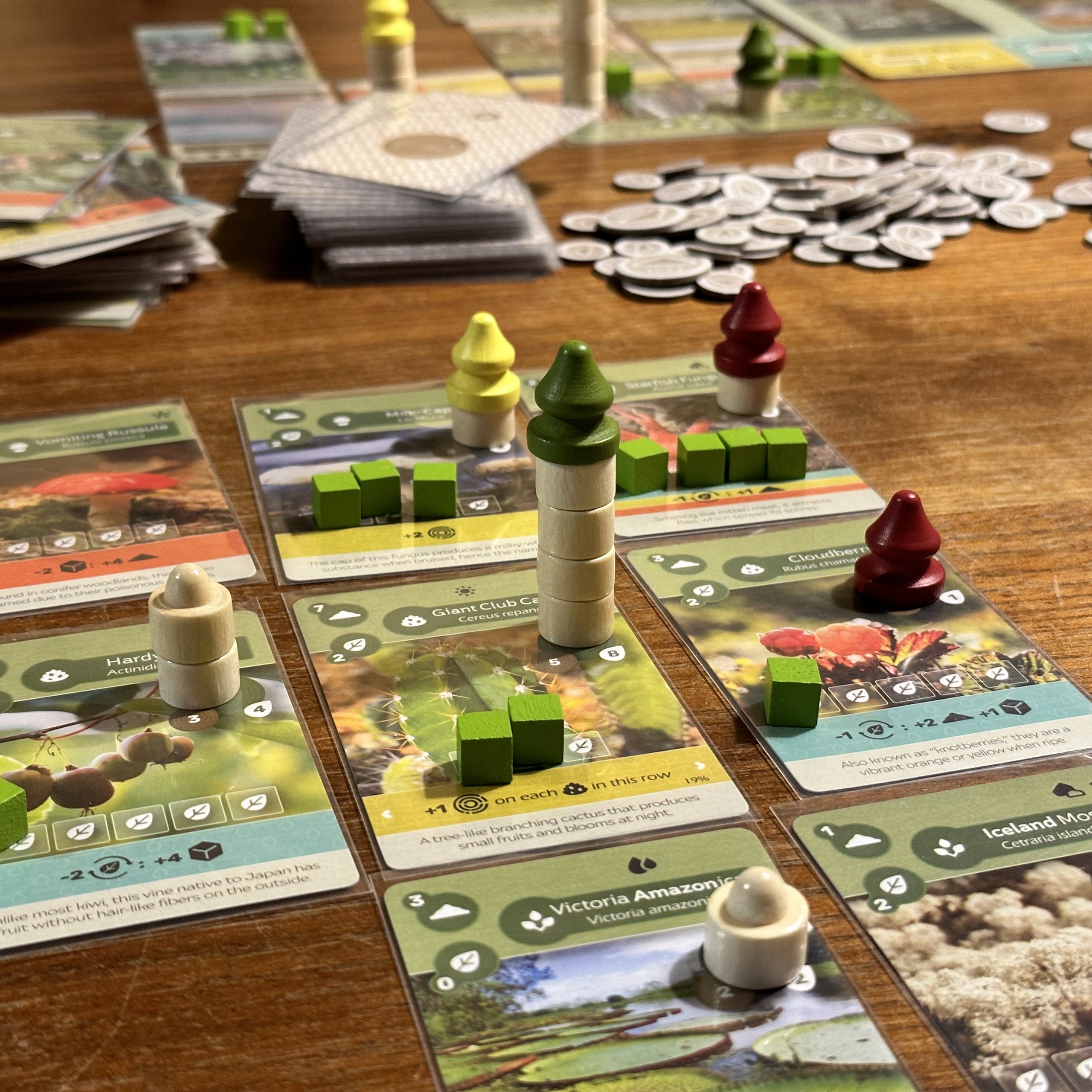 Close up of Earth tableau