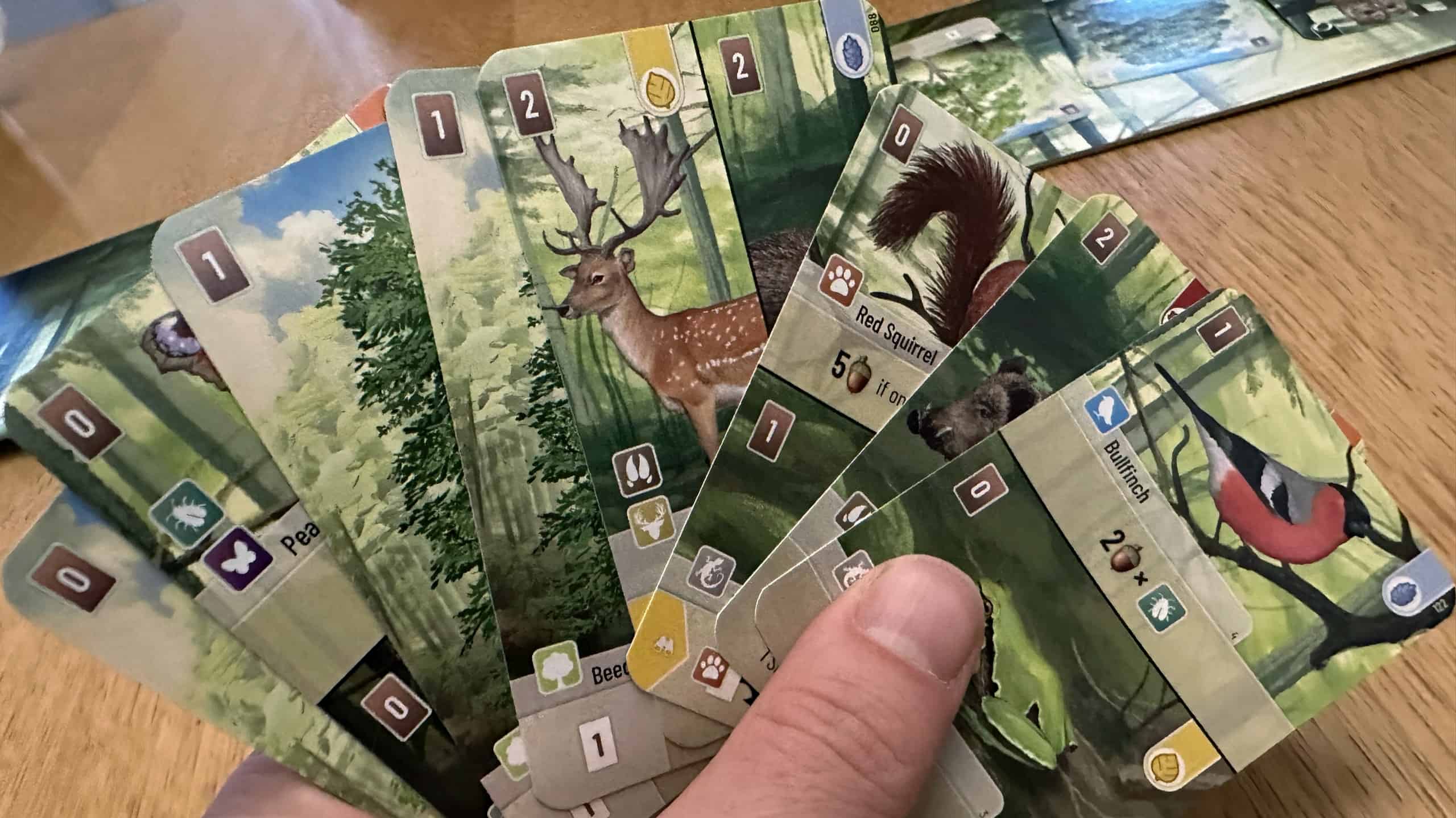 A hand of Forest Shuffle cards