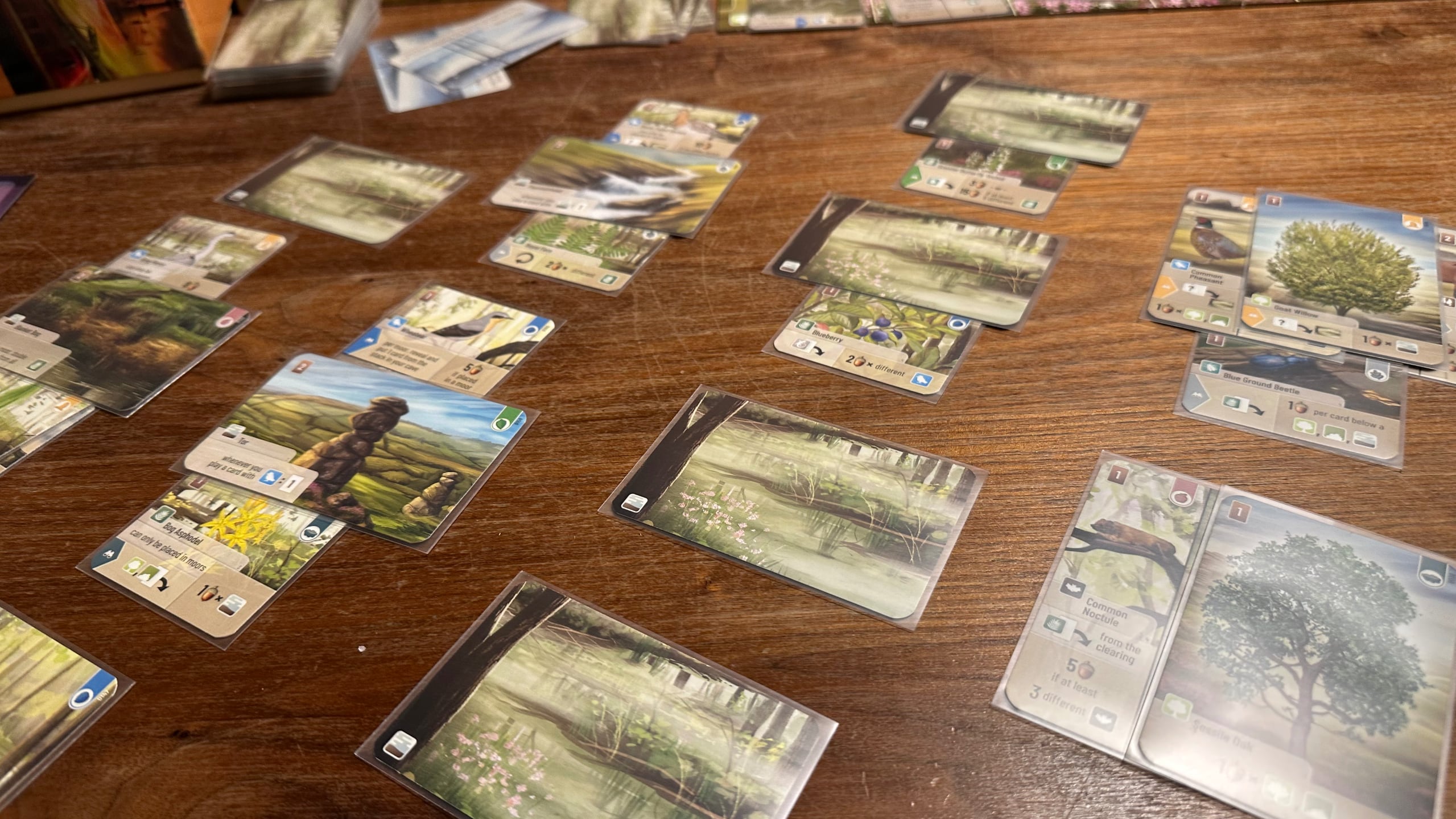 Tools for Forest Shuffle: Dartmoor and 18 BosWash