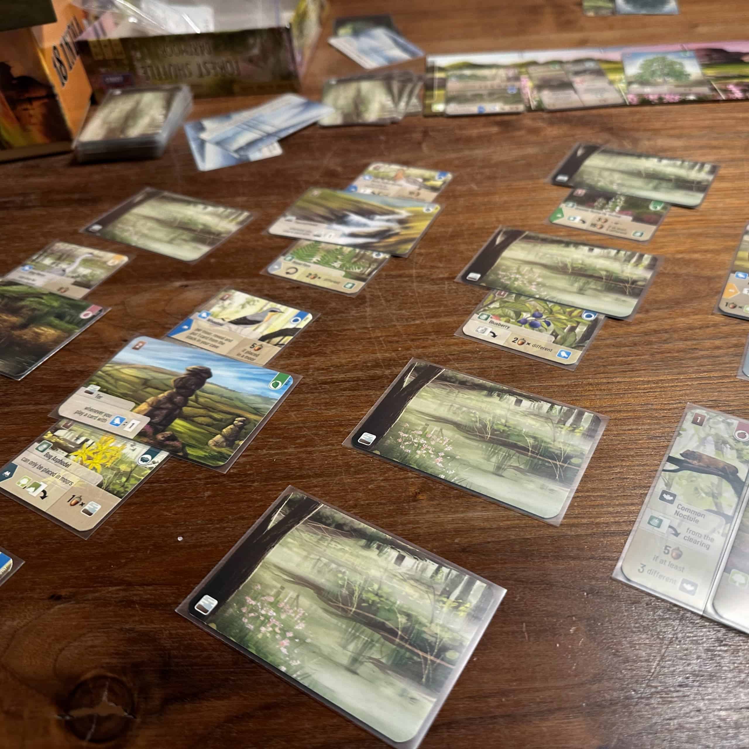 Forest Shuffle: Dartmoor cards spread on a table.